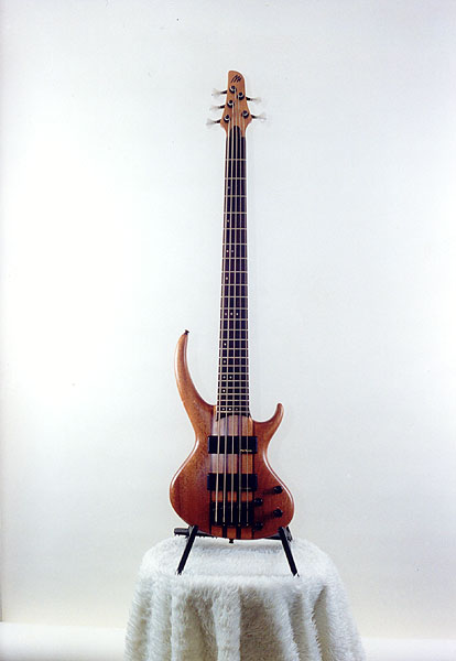 http://www.mazl.cz/image/guitars/26a.jpg