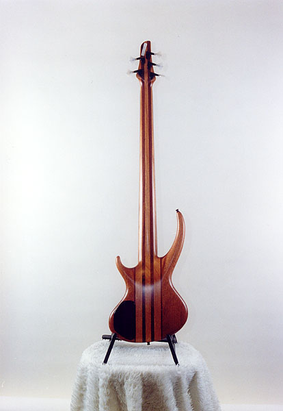 http://www.mazl.cz/image/guitars/26b.jpg